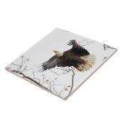 Bald Eagle Tegeltje (Zijkant)