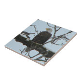 Bald Eagle Tegeltje (Zijkant)