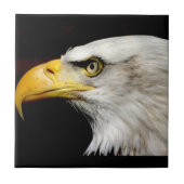Bald Eagle Tegeltje (Voorkant)