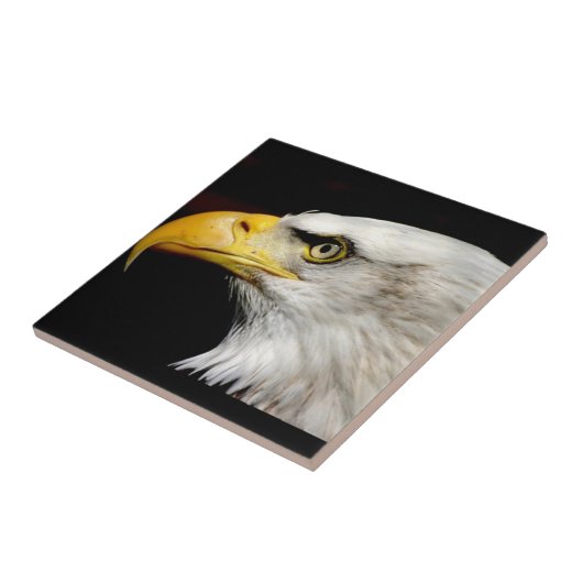 Bald Eagle Tegeltje (Zijkant)