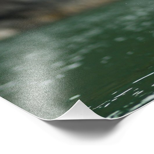 Bald Eagle The Big Catch Foto Afdruk (Hoek)