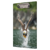 Bald Eagle The Big Catch Klembord (Links)