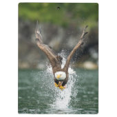Bald Eagle The Big Catch Klembord (Achterkant)