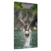 Bald Eagle The Big Catch Klembord (Rechts)