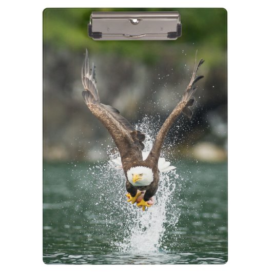 Bald Eagle The Big Catch Klembord (Voorkant)