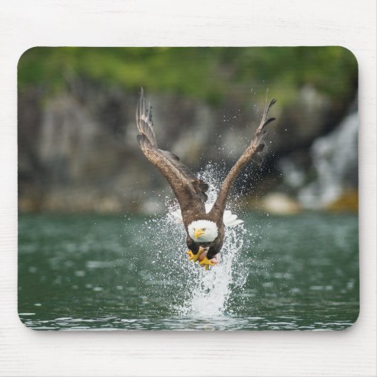 Bald Eagle The Big Catch Muismat (Voorkant)