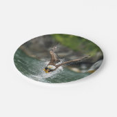 Bald Eagle The Big Catch Papieren Bordje (Gekanteld)