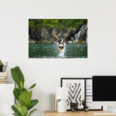 Bald Eagle The Big Catch Poster (Thuiskantoor)