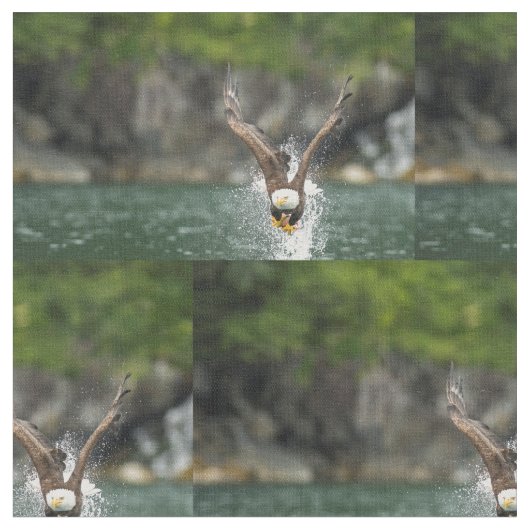 Bald Eagle The Big Catch Stof (Close Up)