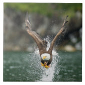 Bald Eagle The Big Catch Tegeltje (Voorkant)