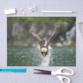 Bald Eagle The Big Catch Tissuepapier (Craft)