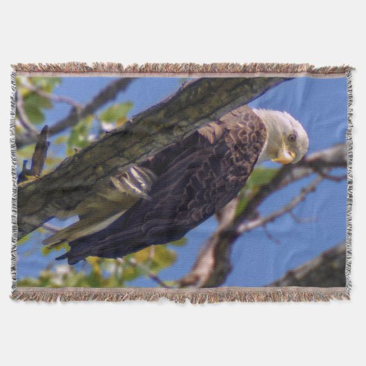 Bald Eagle Throw Blanket Deken (Voorkant)