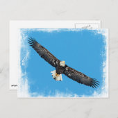 Bald Eagle tijdens de vlucht Briefkaart (Voorkant / Achterkant)