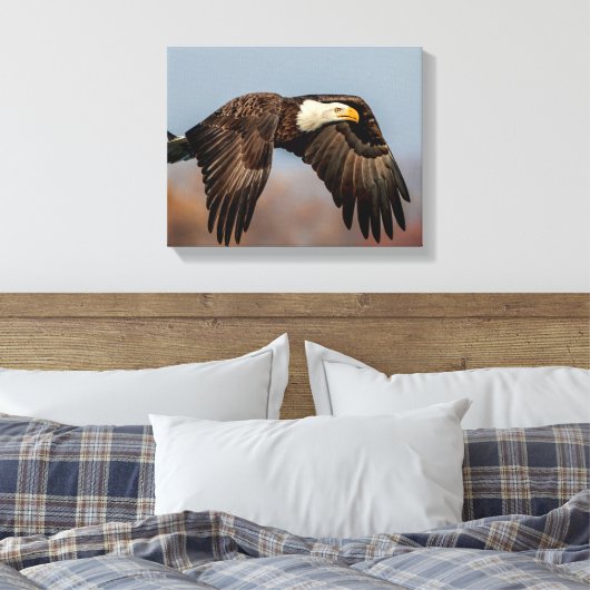 Bald Eagle tijdens de vlucht Canvas Afdruk (Insitu (Slaapkamer))