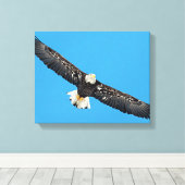Bald Eagle tijdens de vlucht Canvas Afdruk (Insitu (Houten vloer))