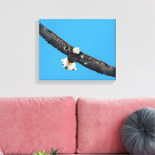 Bald Eagle tijdens de vlucht Canvas Afdruk (Insitu (Woonkamer))