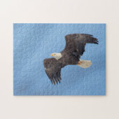 Bald Eagle tijdens de vlucht Legpuzzel (Horizontaal)