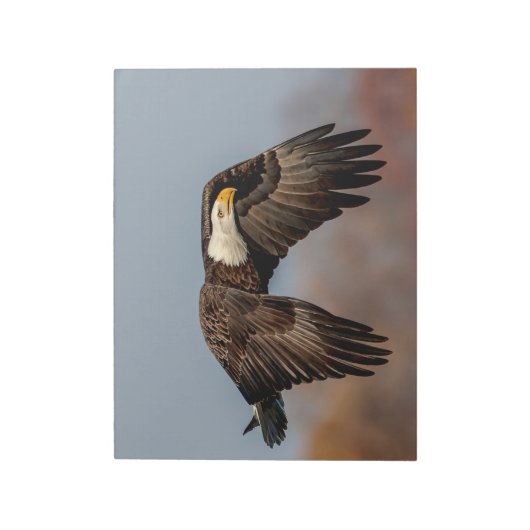 Bald Eagle tijdens de vlucht Notitieblok (Linkerzijde)