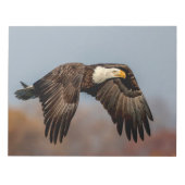 Bald Eagle tijdens de vlucht Notitieblok (Voorkant)