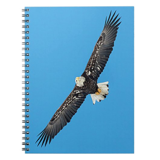 Bald Eagle tijdens de vlucht Notitieboek (Voorkant)