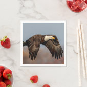 Bald Eagle tijdens de vlucht Servetten (Insitu)