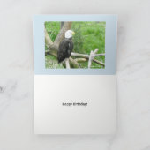 Bald Eagle Time to Party Kaart (Binnen)