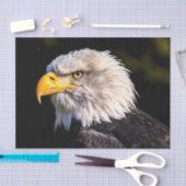 Bald Eagle Tissuepapier (Craft)