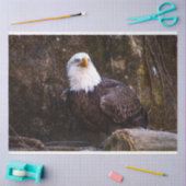 Bald Eagle Tissuepapier (Craft)