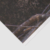 Bald Eagle Tissuepapier (Detail)