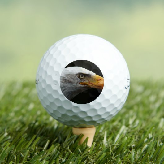Bald Eagle tpv1 gbcna Golfballen (Insitu Shirt)