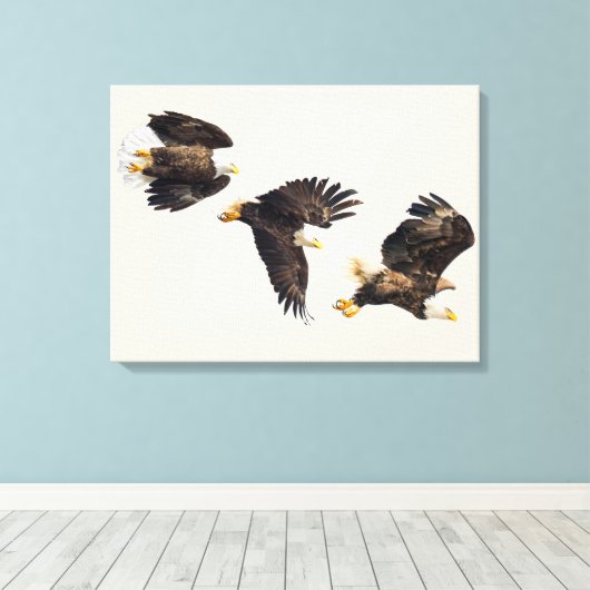 Bald Eagle Triple Flight Canvas Afdruk (Insitu (Houten vloer))