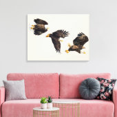 Bald Eagle Triple Flight Canvas Afdruk (Insitu (Woonkamer))