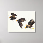 Bald Eagle Triple Flight Canvas Afdruk (Voorkant)