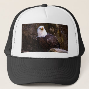 Bald Eagle Trucker Pet