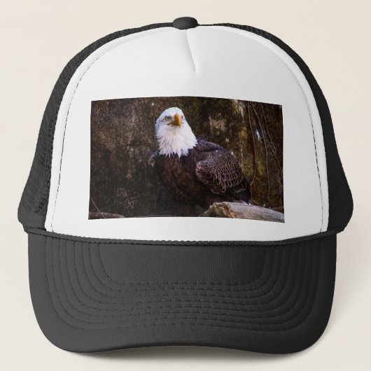 Bald Eagle Trucker Pet (Voorkant)