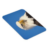 Bald Eagle Uitzicht Magneet (Rechterzijde)