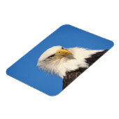Bald Eagle Uitzicht Magneet (Linkerzijde)