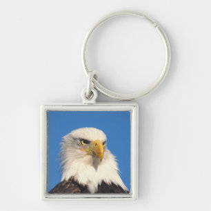 Bald Eagle uitzicht Sleutelhanger
