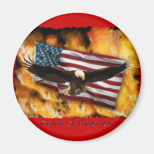 Bald Eagle & US Flag Patriottisch Collectie Magneet (Voorkant)