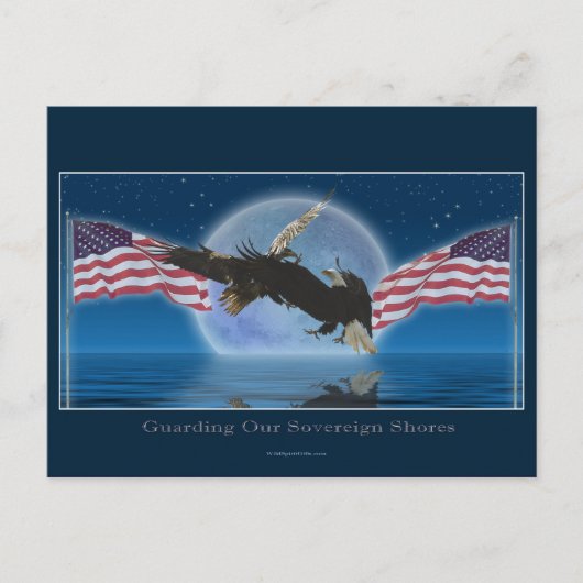BALD EAGLE & US VLAG Patriot Series Briefkaart (Voorkant)