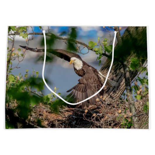 Bald Eagle verlaat het nest Groot Cadeauzakje (Voorkant)