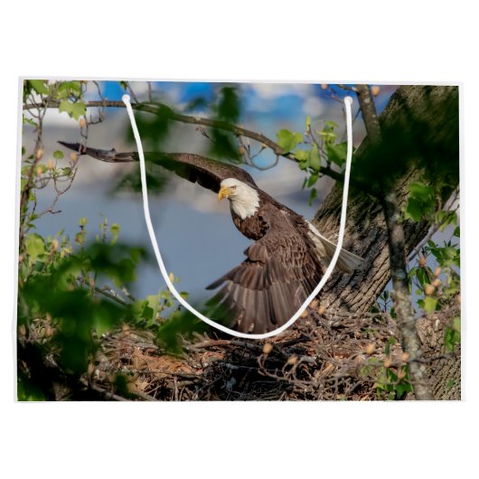 Bald Eagle verlaat het nest Groot Cadeauzakje (Achterkant)