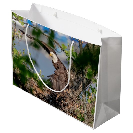 Bald Eagle verlaat het nest Groot Cadeauzakje (Achterkant Gekanteld)