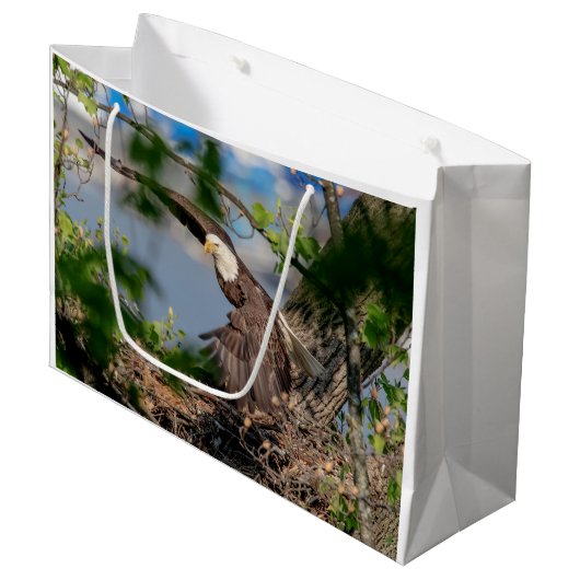 Bald Eagle verlaat het nest Groot Cadeauzakje (Voorkant Gekanteld)