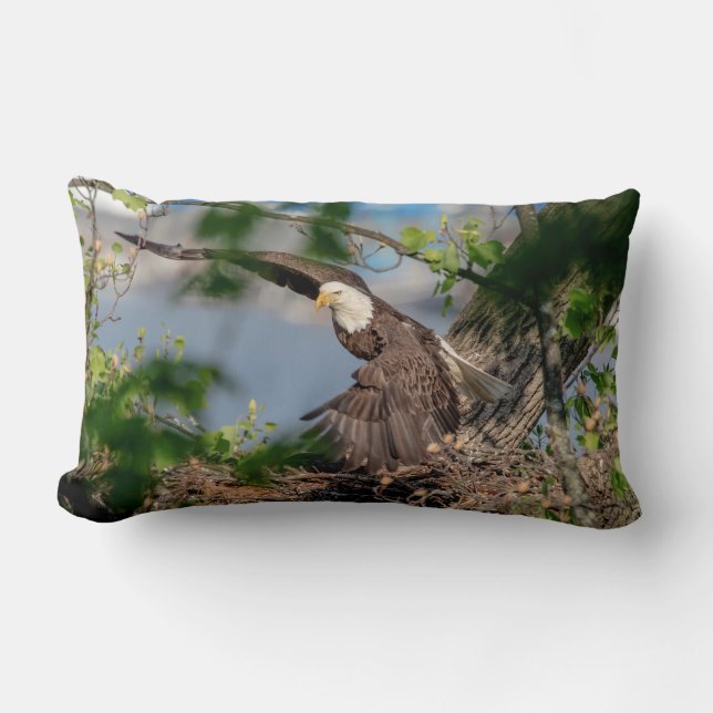 Bald Eagle verlaat het nest Kussen (Voorkant)