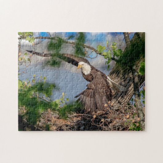 Bald Eagle verlaat het nest Legpuzzel (Horizontaal)