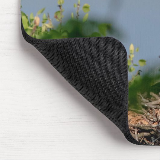 Bald Eagle verlaat het nest Muismat (Hoek)