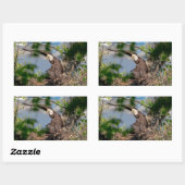 Bald Eagle verlaat het nest Rechthoekige Sticker (Vel)