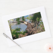 Bald Eagle verlaat het nest Rechthoekige Sticker (Envelop)