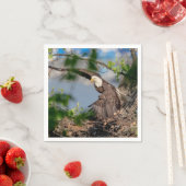 Bald Eagle verlaat het nest Servetten (Insitu)